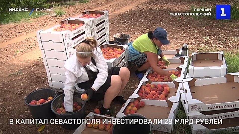 Объём инвестиций в основной капитал Севастополя в I полугодии превысил 28 млрд руб