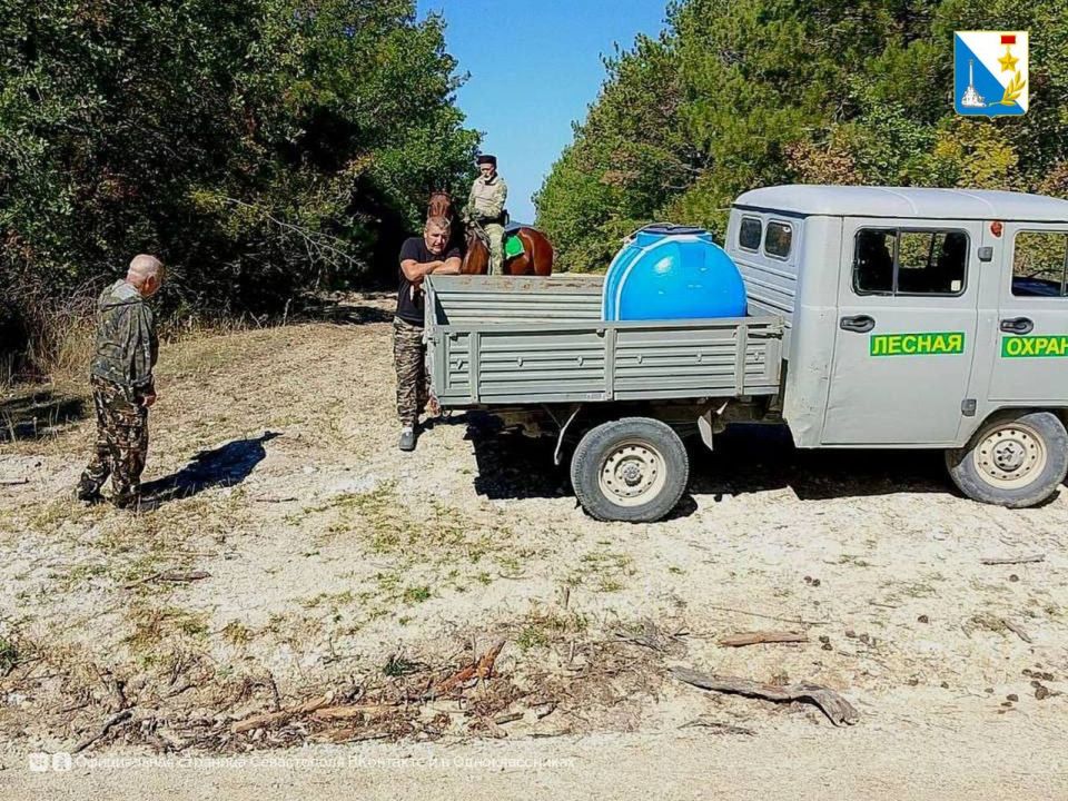 ���� ����������� ����������� ������