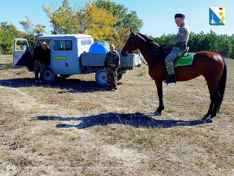 Леса Севастополя патрулируют казаки