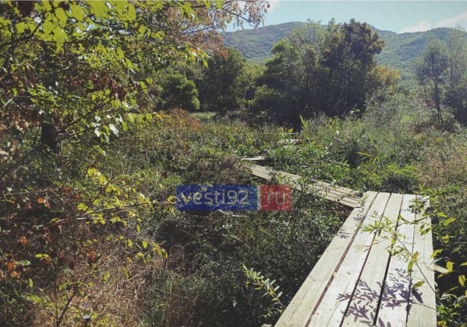 ������ ����, �����������!. ����� ����� ��������, � ����� � ������ ���� ��������� ��������