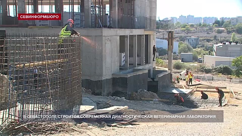 Строительство ветлаборатории в Севастополе выполнено на 21%