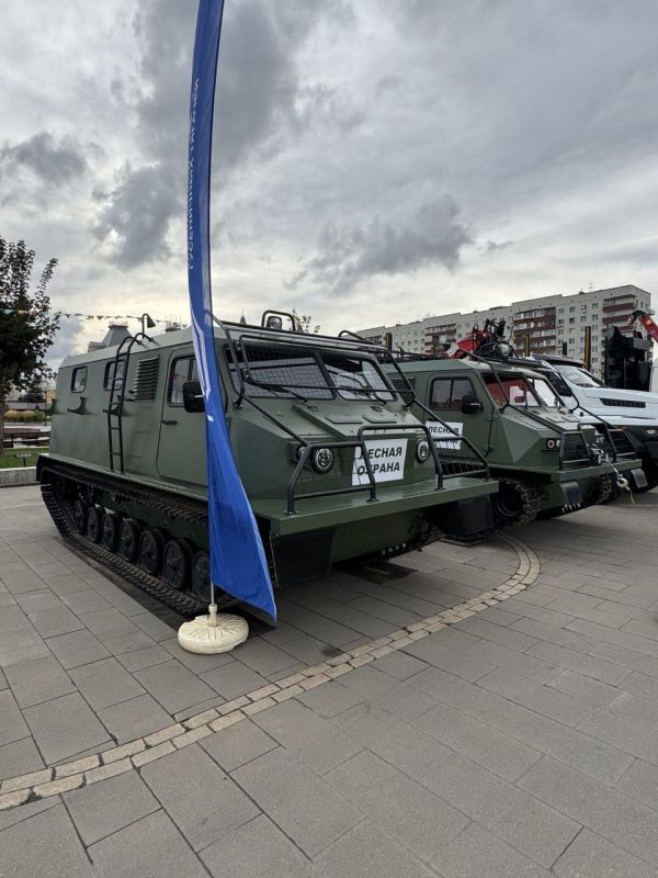 �������� ������������ ���� ��������� ��������� ������� �� ������������� ������ ����� ������