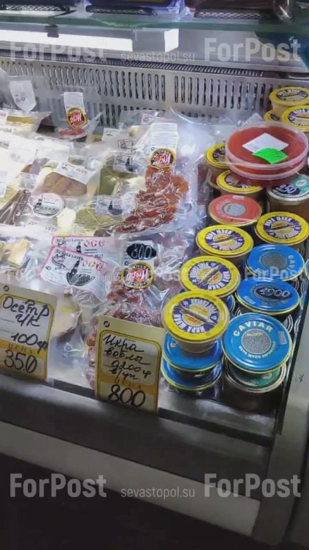 #���_�����. ������ ����� � ���������