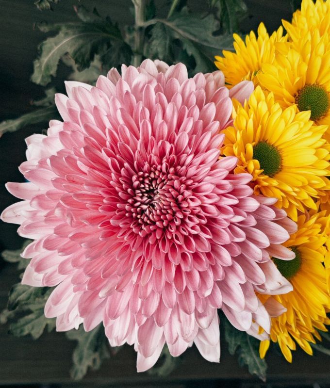 Доброго утра, друзья!. В Севастополе без осадков