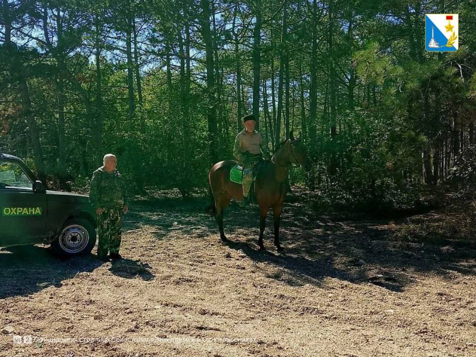 ��������� � ������������ ����