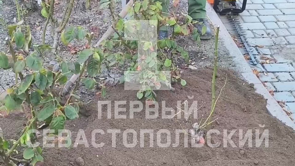 � ����� ��. ���� ��������� �������� ������ � �������: ��������� �����, ��������, �������� ����� � ����������, �������� �������