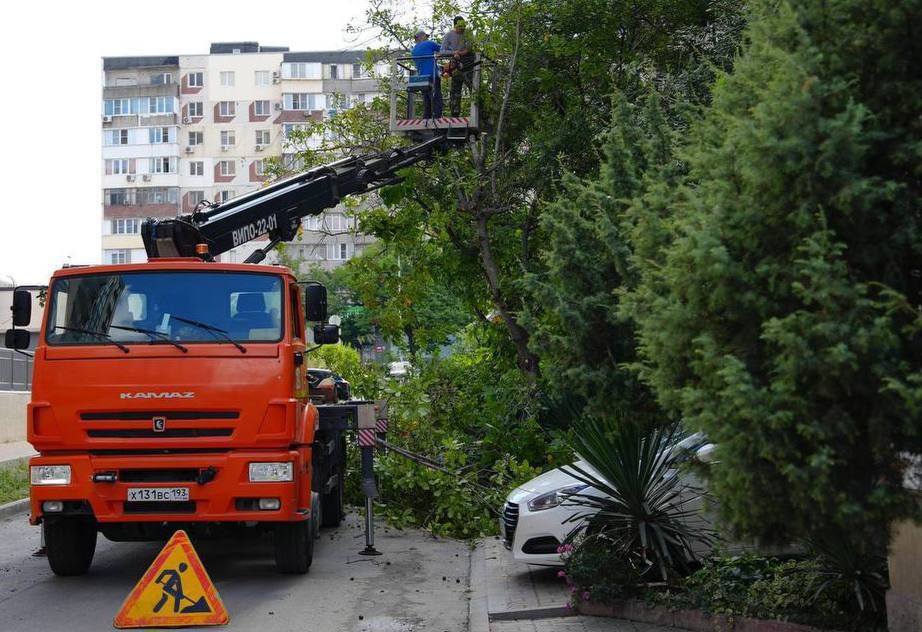 � ������������� ����������� ����������� ����� ���� ���