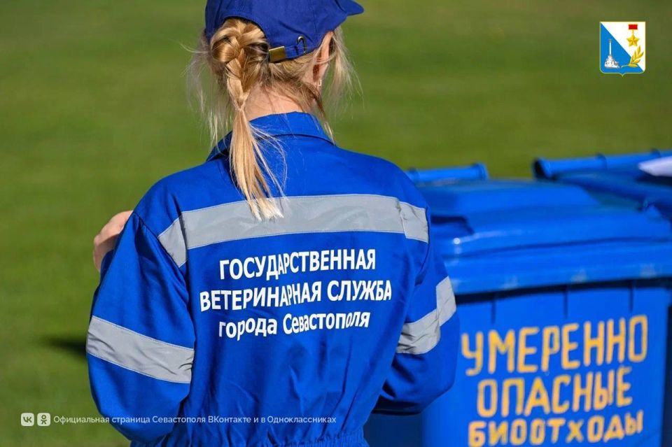 ������� ������ �� ������������ ������������