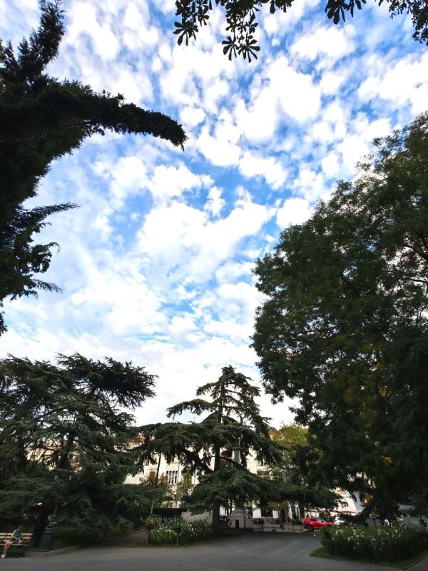 � ������ �����, ������!. � ����������� ��� �������