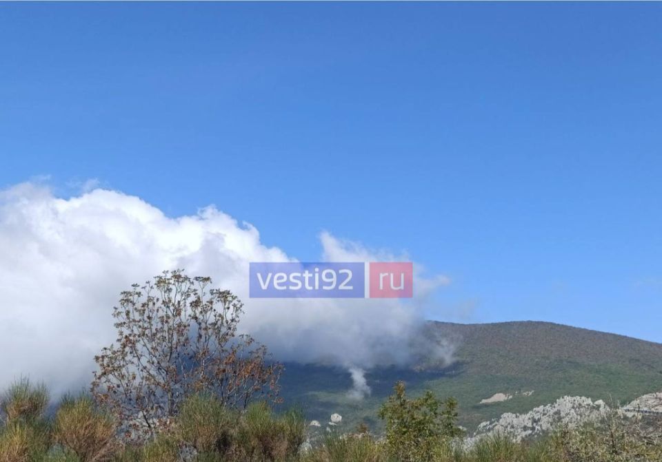 ������ ����, �����������!. ��������� ������� ��������� ����