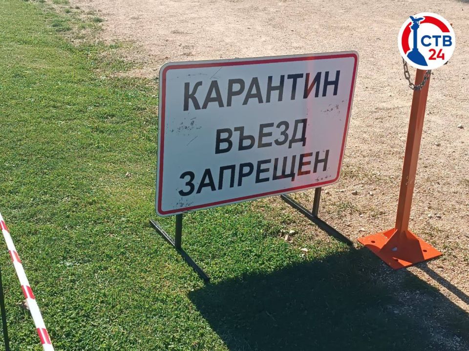 � ����������� �������� ������ �� ���������� ������� �������� ��������