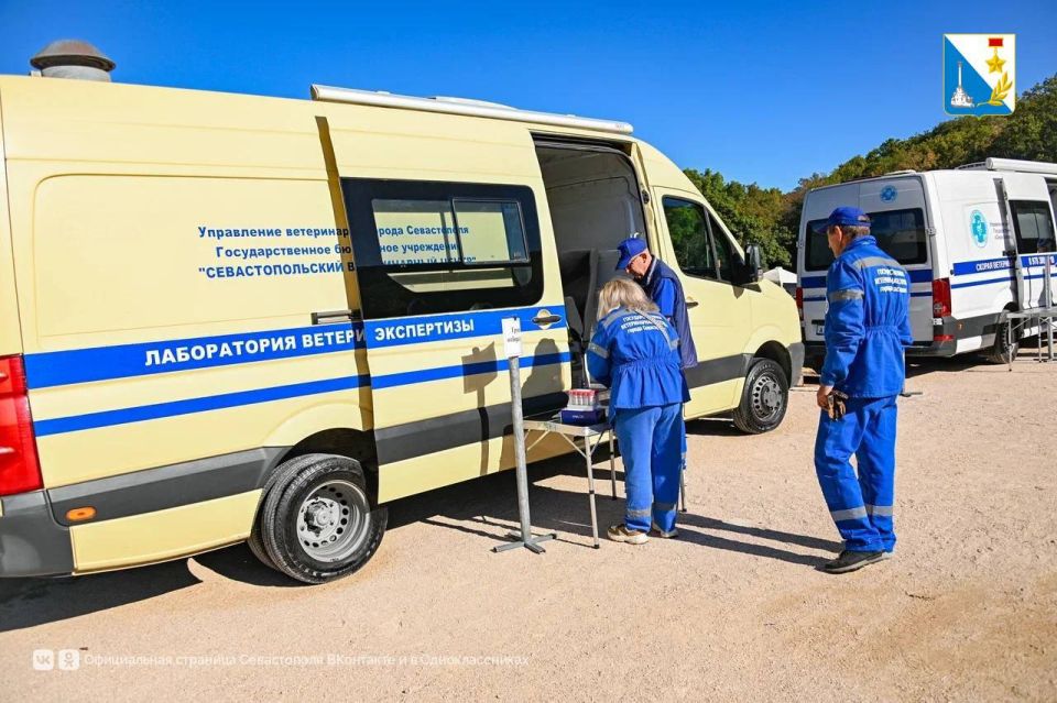 ������� ������ �� ������������ ������������