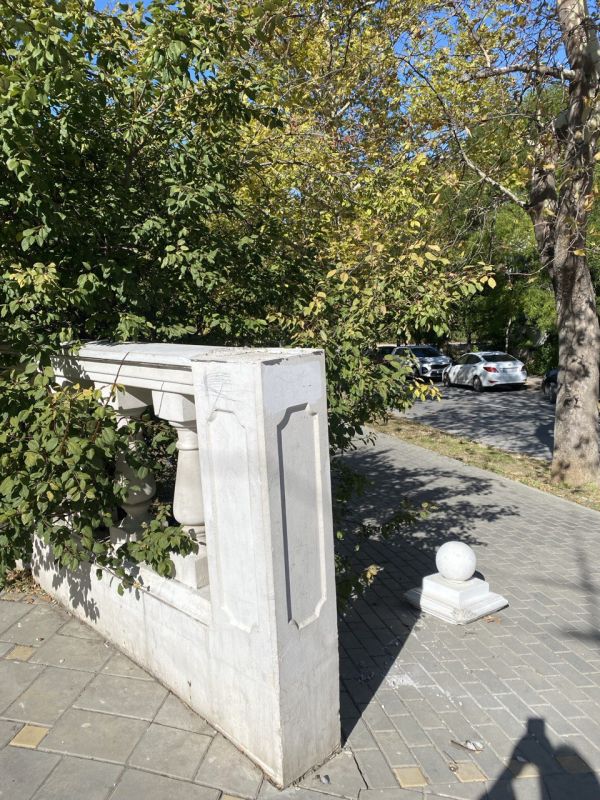 #���_�����. ������ �������� ��������: ��������� ����� �����������, ������� ����������� � ������ ���