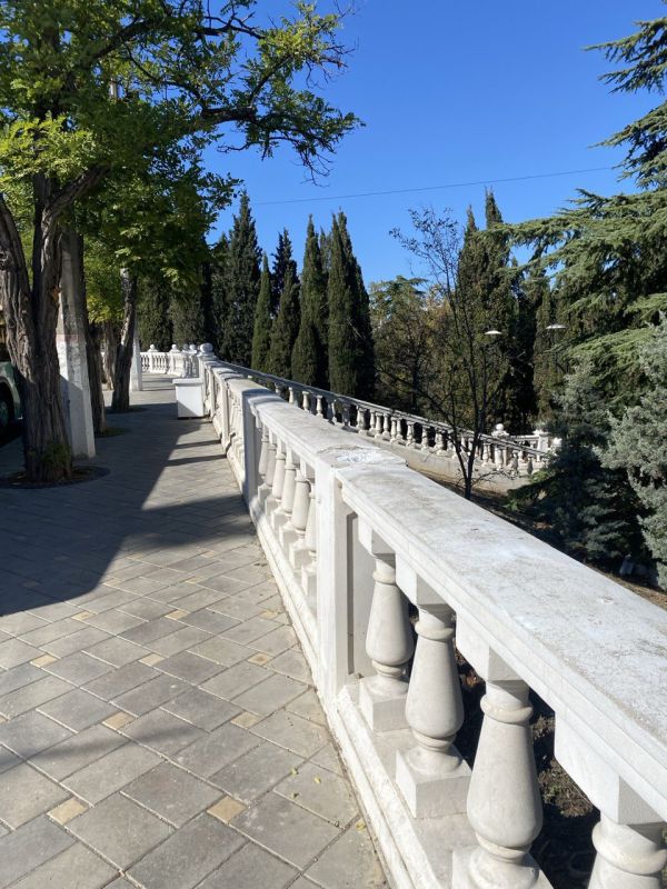 #���_�����. ������ �������� ��������: ��������� ����� �����������, ������� ����������� � ������ ���