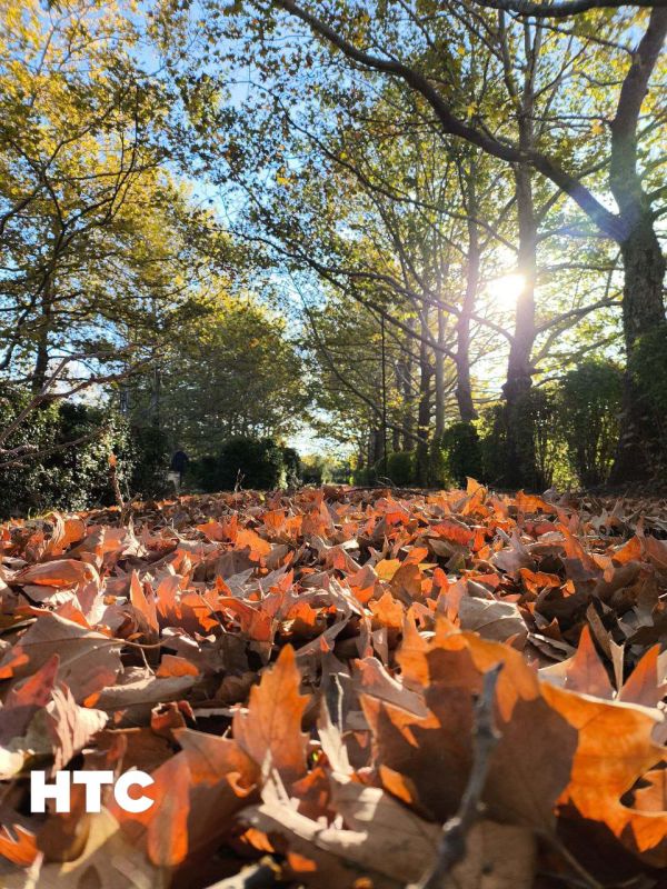 #���_�����. ������ ������� �������� ������� ���������