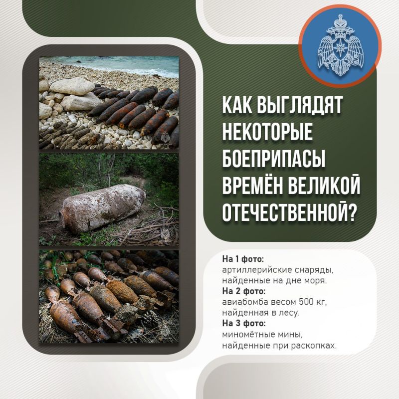 �����, �������, �������������