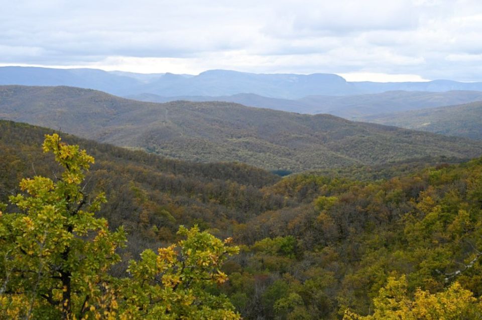 � �������� ��� � ����� ���������� ���������� ������� ������, ���� ��� �� �������