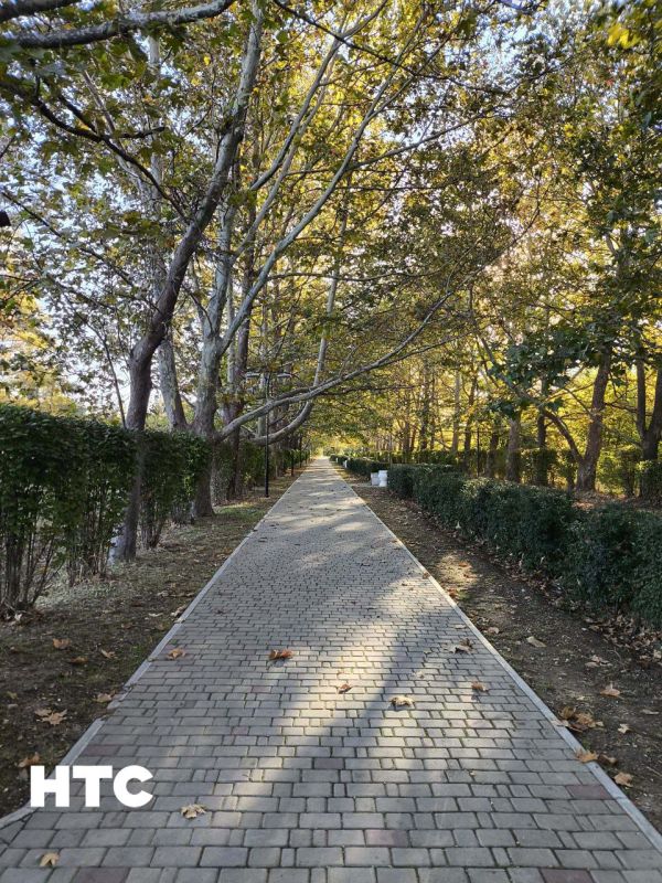 #���_�����. ������ ������� �������� ������� ���������