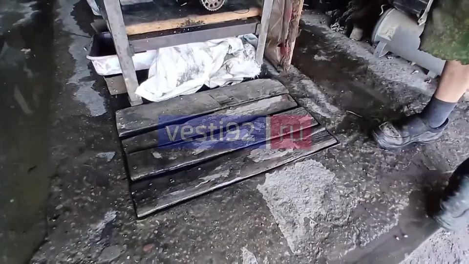 Место разлива канализации на Казачинском шоссе