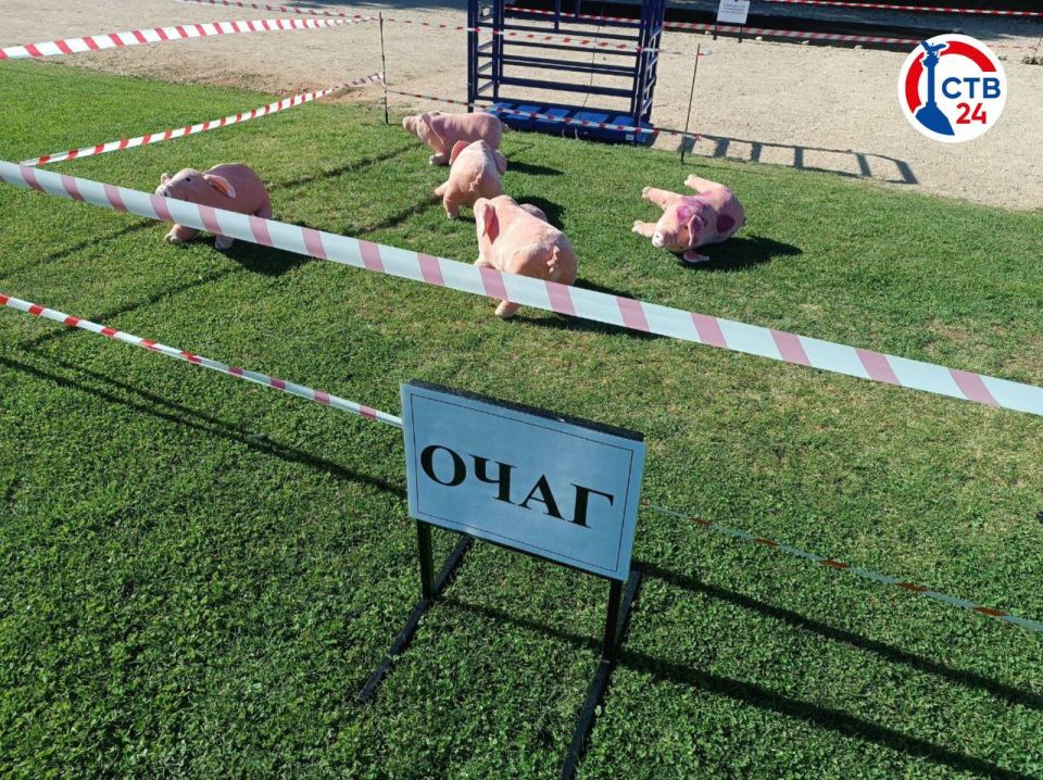 � ����������� �������� ������ �� ���������� ������� �������� ��������