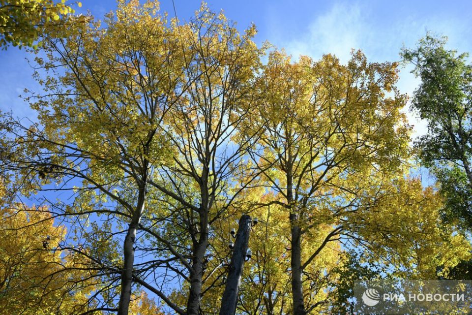 ������� ������ � ����� �� �������