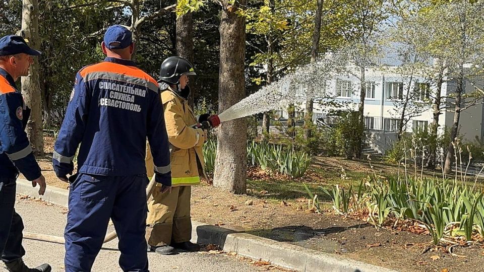 �������� ���� �� ������������ �� ������������ ������ �����������