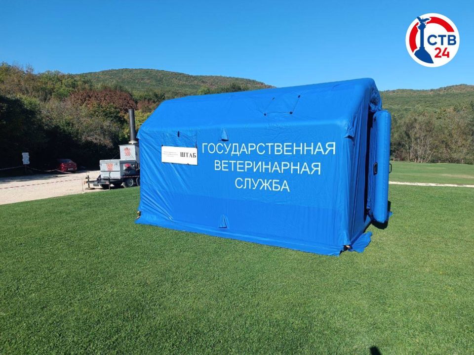 � ����������� �������� ������ �� ���������� ������� �������� ��������