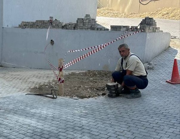 ���������: ������� �������. ������ ������� ���� �������������