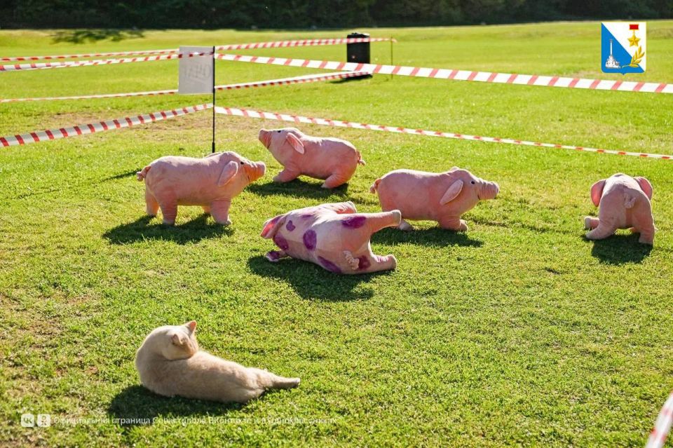 ������� ������ �� ������������ ������������