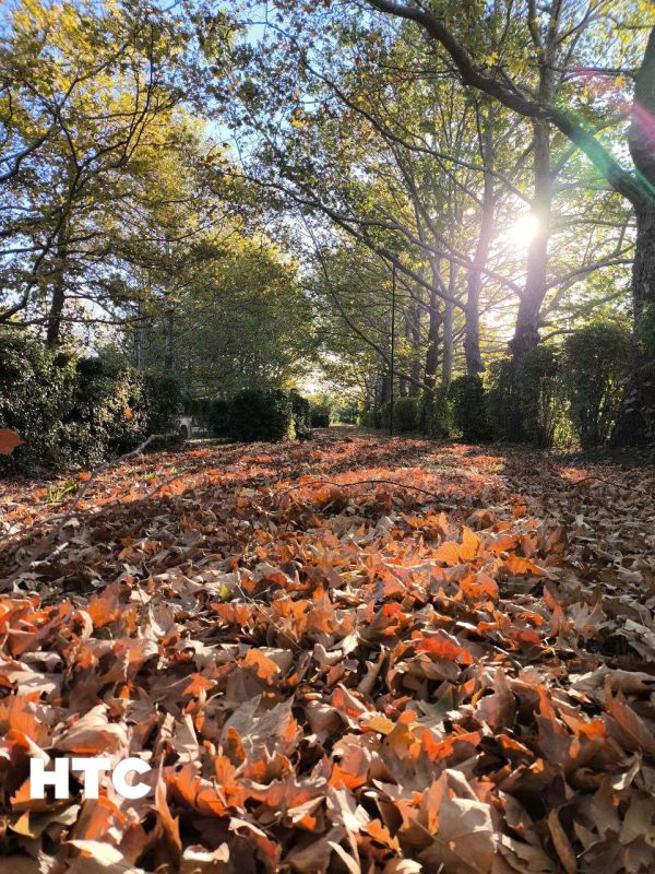 #���_�����. ������ ������� �������� ������� ���������