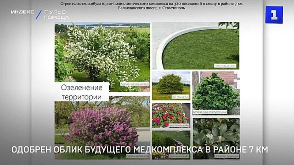 Капремонт подпорной стены на ул. Советская, 57 согласовали члены Архсовета