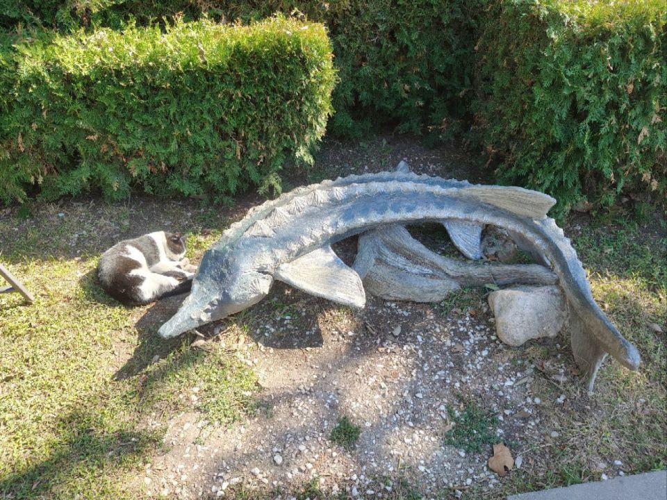 � ������ �����, ������!. � ������� ���������� ����������