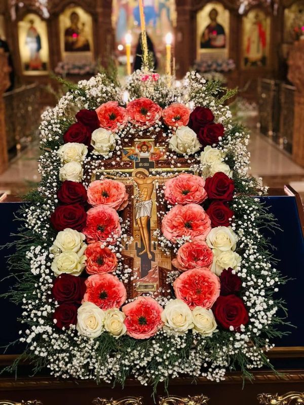 ������� �����: �� ����� ������ ���������� ���� ������������ �������� �� ������� ���������� � ������������ �������� � ������������� ������ ��������!