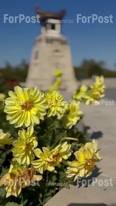 Краски осени в Севастополе