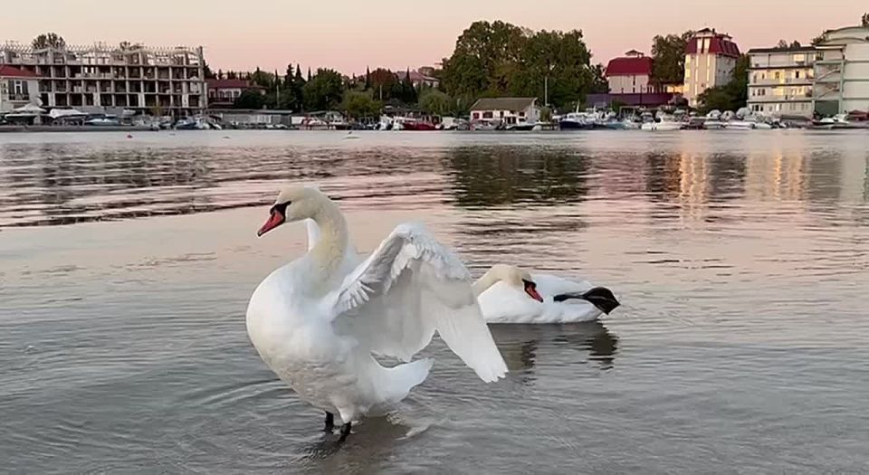 Помашем и мы уходящему теплу