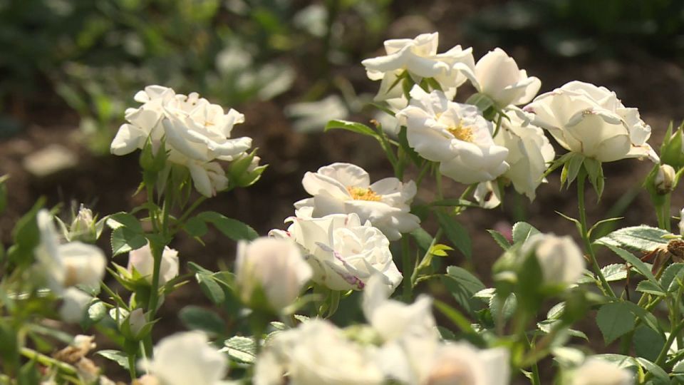 Доброе утро, Севастополь!. 28 сентября в Севастополе ожидается ветер до 11 метров в секунду