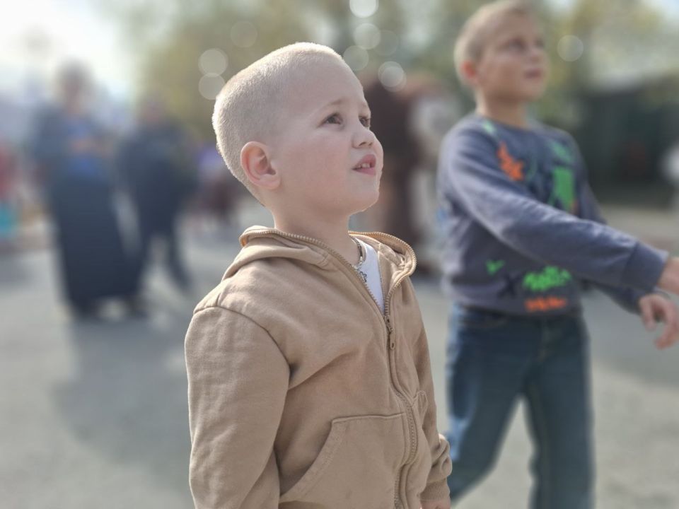 ��������� ������������ ������� ������������