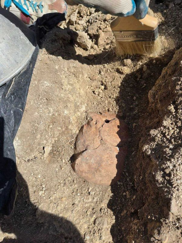 � ���������� ���������� ����� ����� ������������ ��������