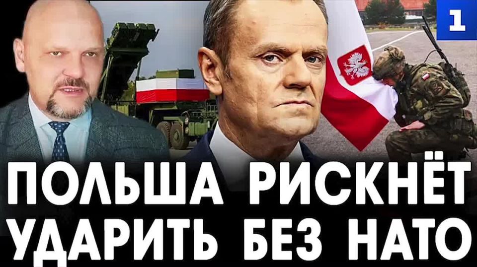 Панкратов: Польша рискнёт ударить по БПЛА и самолётам РФ без санкции НАТО