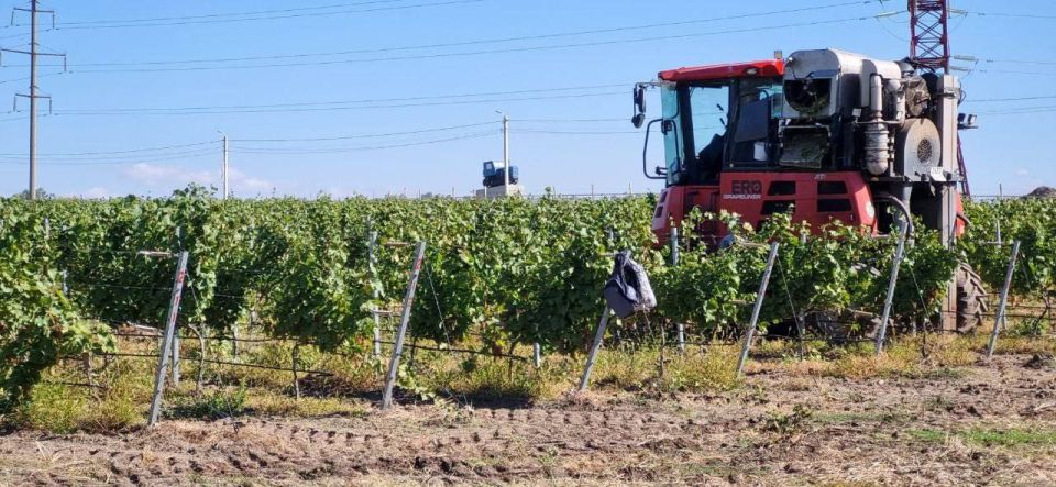 ��������������� ��������� �������� �� ����������� ���������� �������� �����