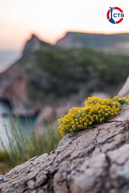 �������, �� ������� ������ �������� �����: ����� � ���������