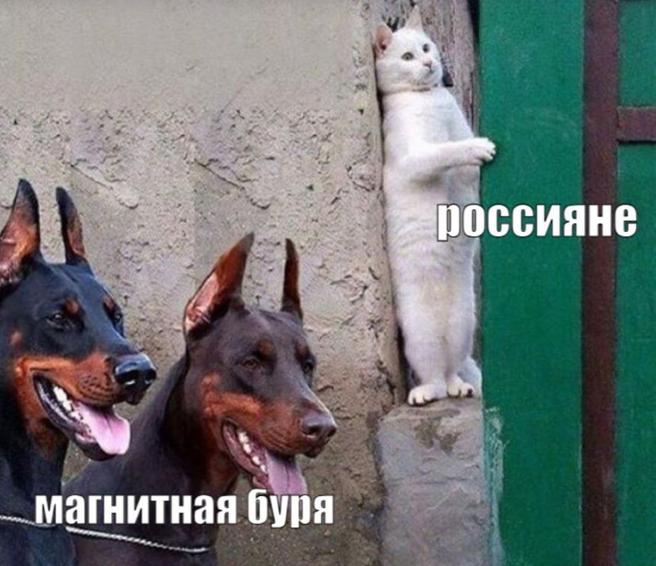 ������ ��������� ���� � 29 ��������: ��������� � ������� ������ 2 �������!