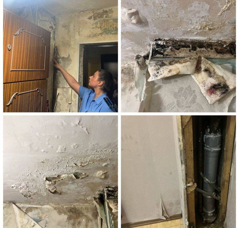 �� ���������� ����������� ����������� ����������� ������� ������ ������������� ���� � ��������������� ���� �� ��. �������� ���������