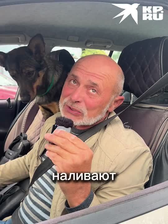 Что говорят севастопольцы об ограничениях на АЗС?