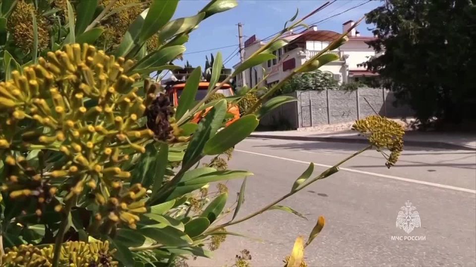 1 октября во всех регионах России пройдет плановая масштабная комплексная проверка систем оповещения населения