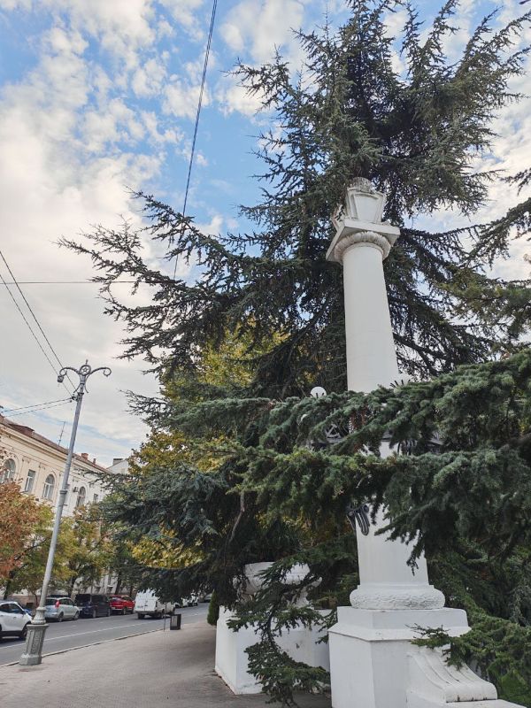 � ������ �����, �����������!