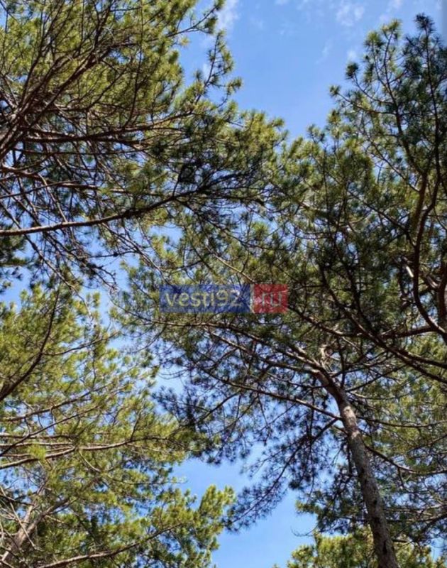 �������� ����� ��������� ������, � ������� ������� ���� ��������