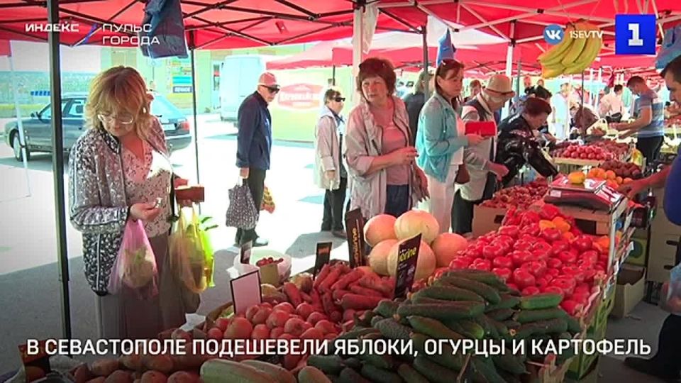 В Севастополе снизились цены на яблоки, свежие огурцы, помидоры, картофель и морковь