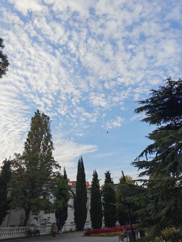 � ������ �����, �����������!