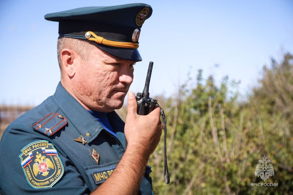 ��������� ����� ��� ������ 50 ����������� ���������� � ������� ����������� ���������� ��� ������